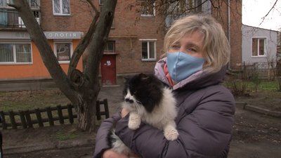 У Черкасах встановили ще одну "котохатку" У Черкасах встановили ще одну "котохатку"