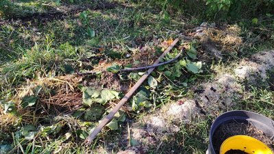 «Дає 1 см гумусу на рік». У Дніпрі показали, як компостувати опале листя та спиляні гілки «Дає 1 см гумусу на рік». У Дніпрі показали, як компостувати опале листя та спиляні гілки