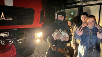 На Закарпатті пожежники винесли з палаючого будинку чотирьох цуценят На Закарпатті пожежники винесли з палаючого будинку чотирьох цуценят