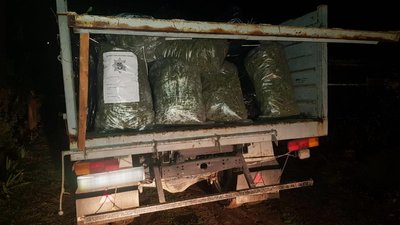 На Миколаївщині у сімейної пари вилучили конопель на суму майже 4 млн грн