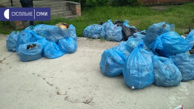 Зібрали понад 860 кілограмів сміття. У Сумах відбувся екокрос Зібрали понад 860 кілограмів сміття. У Сумах відбувся екокрос