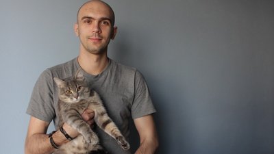 Картину дніпровського художника, на машину якого впав кіт, купили за майже 300 доларів