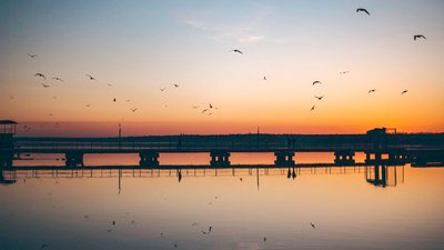 Подих зими. На Миколаївщині на тижні очікують нічні заморозки