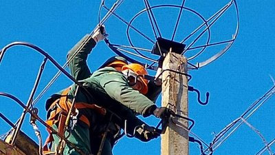 Гніздо порвало дроти