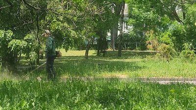 Екзотичні дерева, розваги та прочесані газони — що варто знати житомирянам перед прогулянкою у міських парках Екзотичні дерева, розваги та прочесані газони — що варто знати житомирянам перед прогулянкою у міських парках