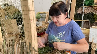 маскувальні сітки маскувальні сітки