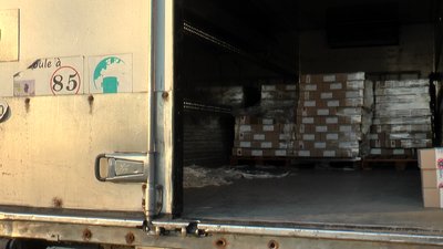 На Полтавщині за допомогою авіації імунізують диких тварин На Полтавщині за допомогою авіації імунізують диких тварин
