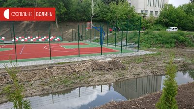 У Луцьку з парку вкрали понад 20 туй