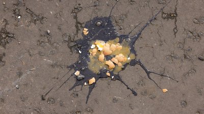 Короля Чарльза ІІІ намагались закидати яйцями під час візиту до Йорка Короля Чарльза ІІІ намагались закидати яйцями під час візиту до Йорка