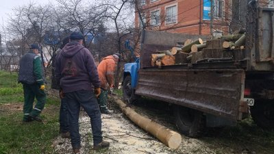 Прибирають увесь самосів: у Луцьку комунальники чистять берег Сапалаївки Прибирають увесь самосів: у Луцьку комунальники чистять берег Сапалаївки