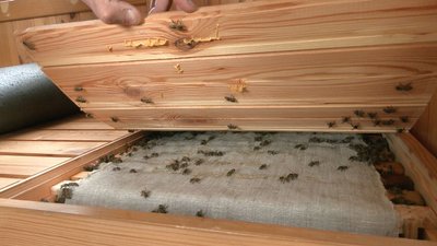 козацькі ретрити козацькі ретрити