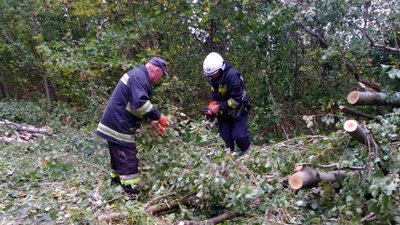 Рятувальники прибирають повалені дерева