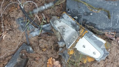 Збиті БпЛА на Чернігівщині: прикордонники збили російські "Герберу" та "Залу"