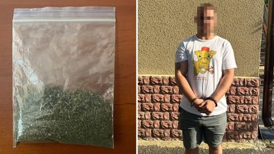 Канабіс, наркотики, затримання, поліція, кримінал, 10 років тюрми, Харківщина