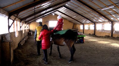 У Житомирі 178 дітей з інвалідністю отримають адресну допомогу на реабілітацію методом іпотерапії