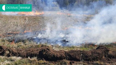 14 виїздів на гасіння пожеж в екосистемах за добу здійснили рятувальники області