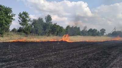 За добу на Херсонщині 15 разів горіло в екосистемах За добу на Херсонщині 15 разів горіло в екосистемах