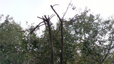 обстріл обстріл
