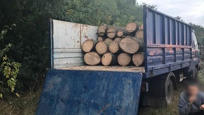 На Одещині двох чоловіків звинувачують у незаконній порубці лісу