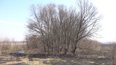 На Черкащині горів заказник "Тясминські краєвиди"