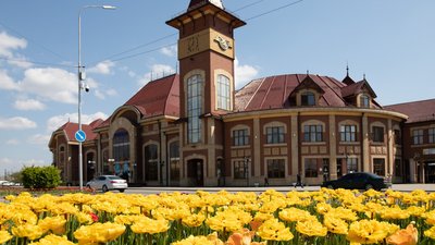 На вулицях та площах Ужгорода цвітуть близько 30 тисяч тюльпанів На вулицях та площах Ужгорода цвітуть близько 30 тисяч тюльпанів