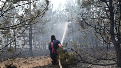 За добу обстріли російськими військами спричинили три пожежі на Миколаївщині За добу обстріли російськими військами спричинили три пожежі на Миколаївщині