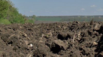 Соняшник, кукурудза та соя: на Полтавщині завершують посівну кампанію Соняшник, кукурудза та соя: на Полтавщині завершують посівну кампанію