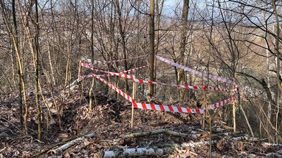 "Глибина дуже велика": що кажуть жителі про провалля у лісі на Тернопільщині "Глибина дуже велика": що кажуть жителі про провалля у лісі на Тернопільщині