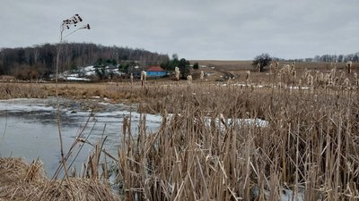 "Гниле місце". Як живуть люди у селі, яке розташоване на болотах на Сумщині "Гниле місце". Як живуть люди у селі, яке розташоване на болотах на Сумщині