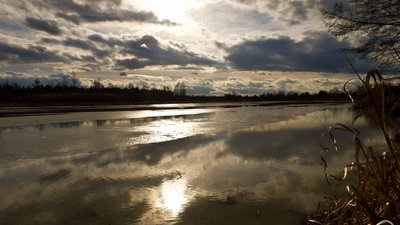 В Чорнобильській зоні стрімко піднявся рівень води на річці: яка причина В Чорнобильській зоні стрімко піднявся рівень води на річці: яка причина