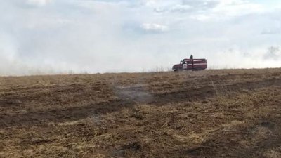 На Херсонщині знову горів сухостій