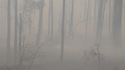 Півтори доби тернопільські рятувальники допомагали гасити лісові пожежі на Житомирщині Півтори доби тернопільські рятувальники допомагали гасити лісові пожежі на Житомирщині