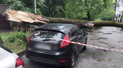 У Тернополі під час негоди повалило дерева та залило вулиці У Тернополі під час негоди повалило дерева та залило вулиці