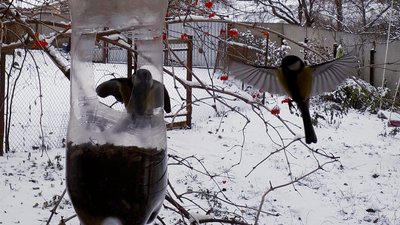 Сумщину засипало снігом. Фото читачів Суспільного Суми