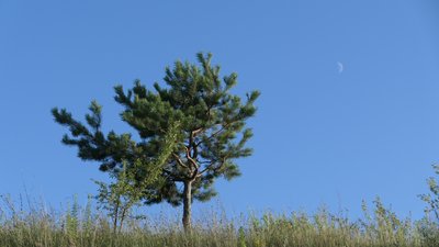 Погода у Рівному та області