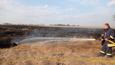 На Житомирщині протягом доби виникло 9 пожеж сухостою. Опіки отримали 3 людини На Житомирщині протягом доби виникло 9 пожеж сухостою. Опіки отримали 3 людини