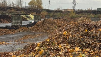 Опале листя на станції компостування