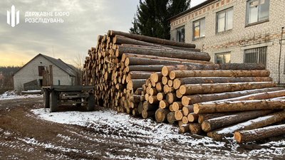 Незаконна рубка лісів Житомирщини на майже 6 мільйонів гривень збитків – розслідування завершили Незаконна рубка лісів Житомирщини на майже 6 мільйонів гривень збитків – розслідування завершили
