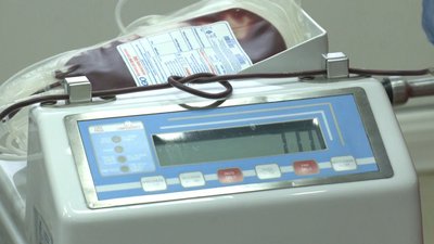 У Львові здавали кров для передчасно народжених дітей У Львові здавали кров для передчасно народжених дітей