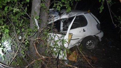 З'їхав у кювет та зіткнувся з деревом: на Вінниччині у ДТП загинув водій легковика