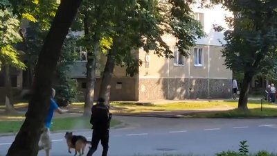 Собака, Калуш, поліція