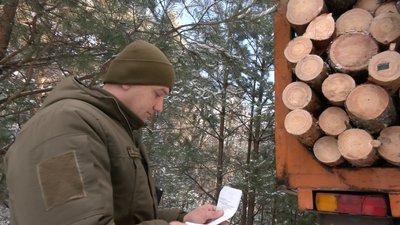 Півтисячі рейдів — майже 50 порушників: чи рубають волиняни новорічні дерева у лісі