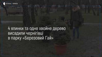 Чернігівці висадили у Березовому гаю ялинки та сосни, які купували на Новий рік