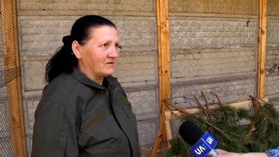 На Житомирщині облаштували перший в області фазанарій На Житомирщині облаштували перший в області фазанарій