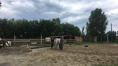 У Черкасах облаштували реабілітаційний парк У Черкасах облаштували реабілітаційний парк