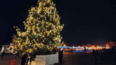Вогні головного ялинки Ужгорода запалили на площі Театральній