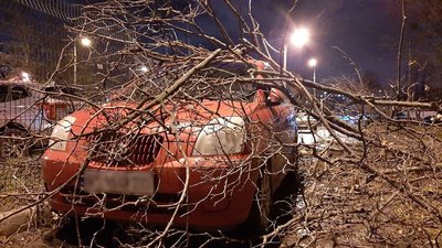 Повалені дерева на дорогах та лініях електропередач: наслідки негоди у Харкові