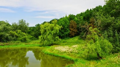 Туристичний потенціал Миколаївщини Туристичний потенціал Миколаївщини