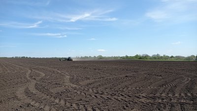 Кукурудза, соя та просо: на Полтавщині завершують посіви Кукурудза, соя та просо: на Полтавщині завершують посіви