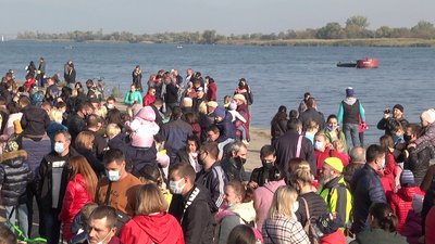 зариблення зариблення